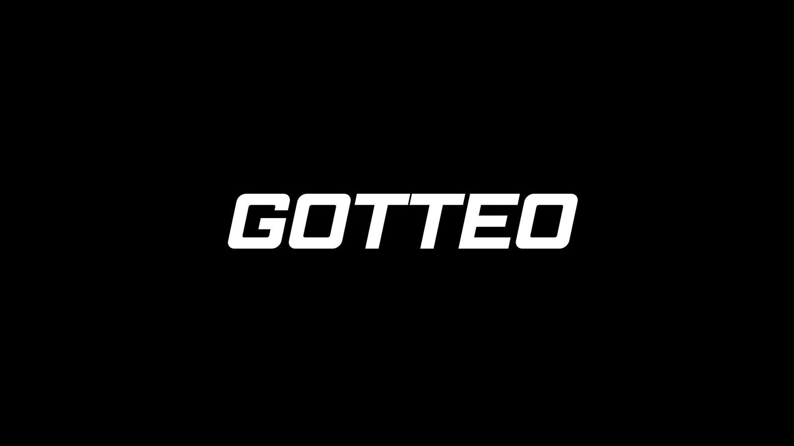 GOTTEO FEST