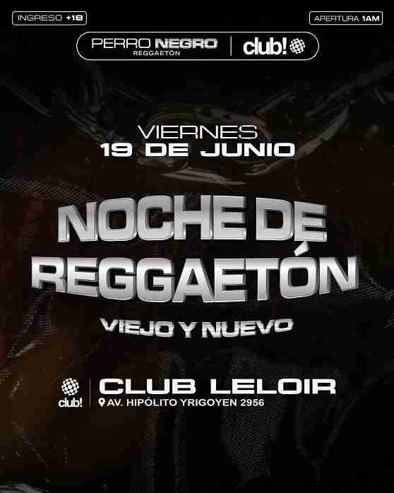 Perro negro 19.06
